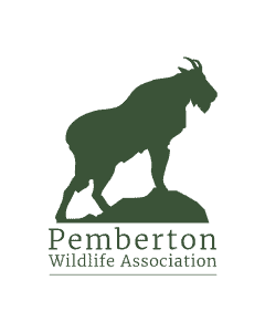 Pemberton Wildlife Association Logo