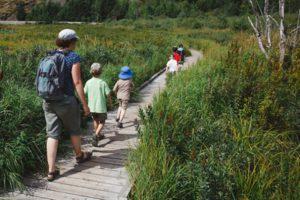 Children On Nature Trail With Adult